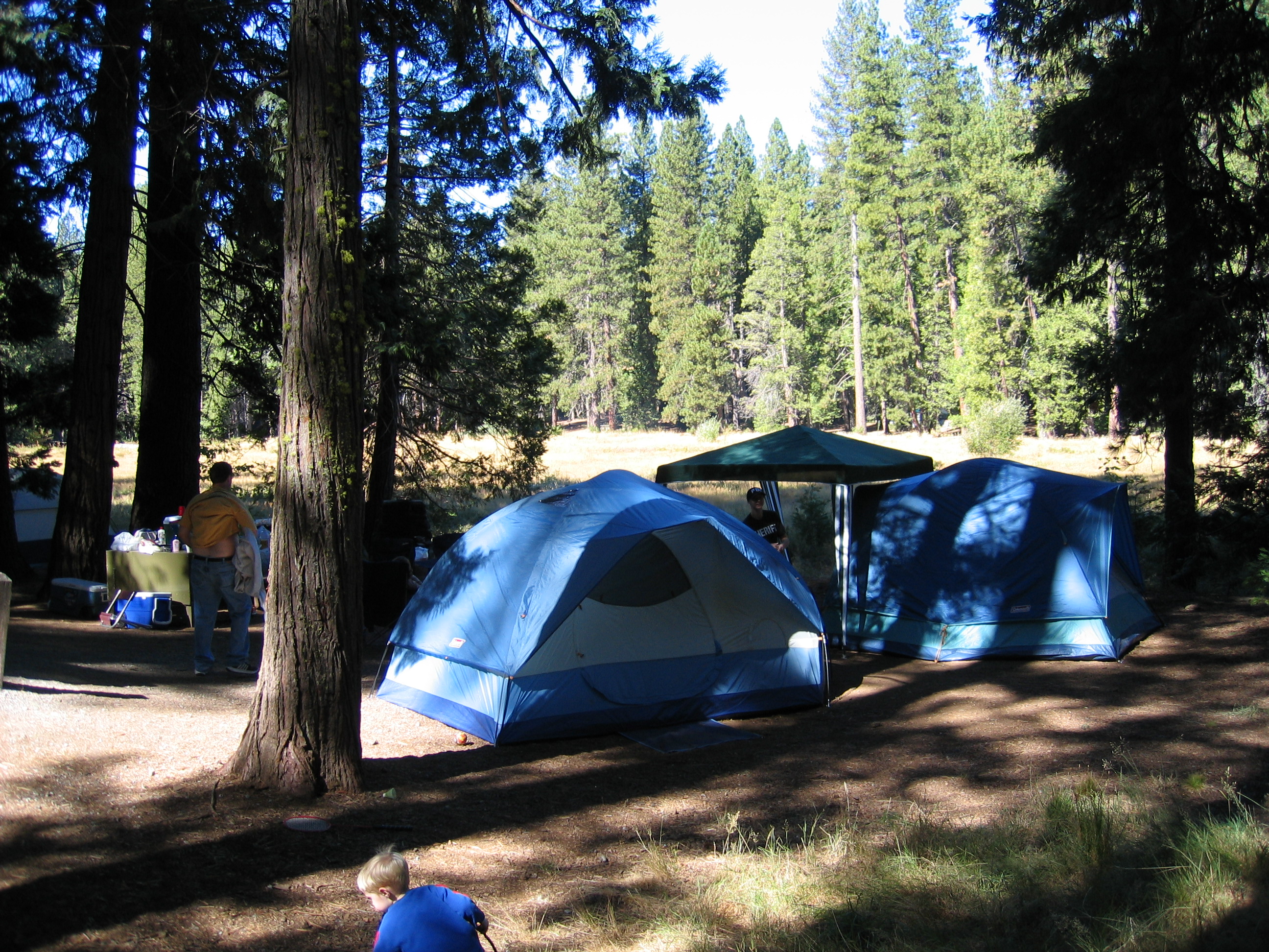 Camping trip picture
